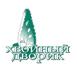 ❤🌲Пихта в ассортименте