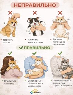 Самое интересное