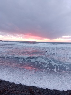 Остров Беринга - чудо в океане
