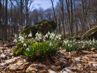 Весенний Крым 