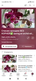 Спасаю орхидею без корней ✅