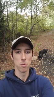 Димое реальность 