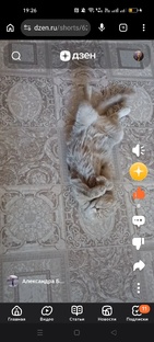 Зайка 