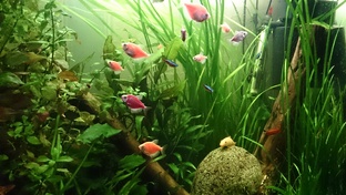 Как это всё было 