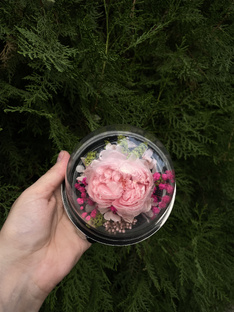 Стабилизированные розы в куполе - мини версия, подойдёт как комплимент учителю 