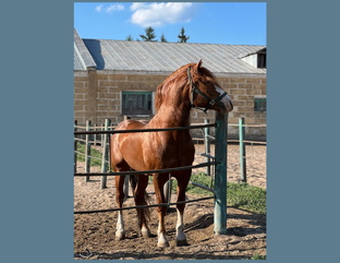 Интересные места Воронежской области