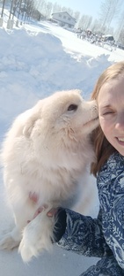 О жизни в деревне