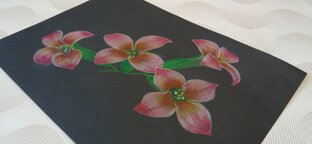 Карандашные рисунки