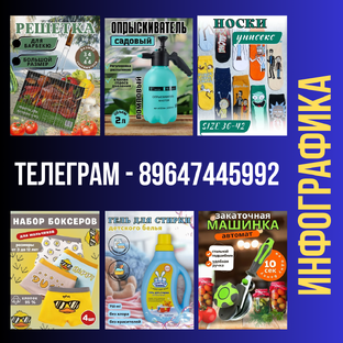 Инфографика