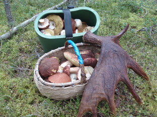 "И будет Карелия сниться"...