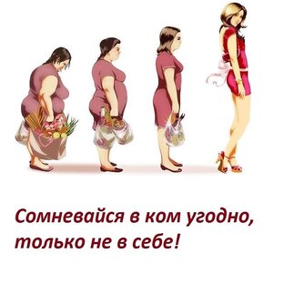 Питание и похудение 