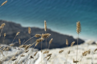 Краснодар и край