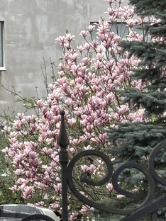 Размышления на тему