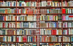 Авторская подборка: опубликованные книги и статьи Надежды Емельяновой