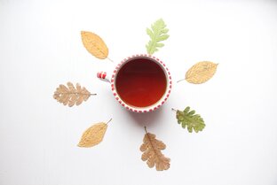 Творчество осенних эпох