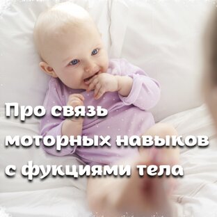 Связь развития моторики с анатомическим строением и функциями тела и мозга