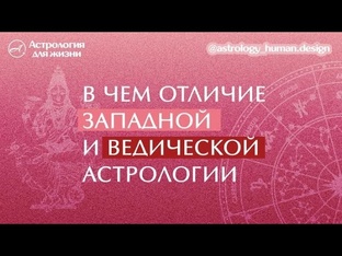 Популярные видео