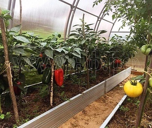 ПРО теплицы