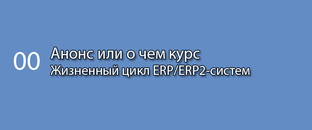 Жизненный цикл ERP/ERP2-систем (курс)