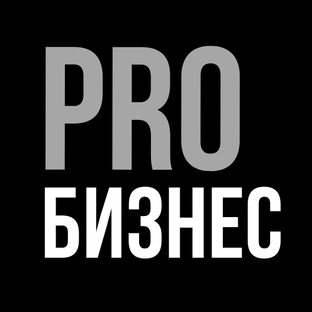 PRO бизнес