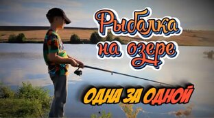 По грибы, по ягоды и также рыбалка