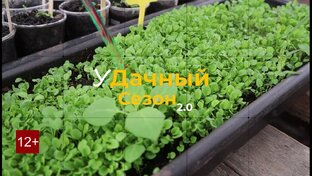 УДАЧНЫЙ СЕЗОН 2.0