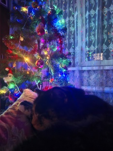 Мои воспоминания 