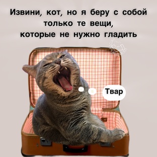 Наши путешествия 