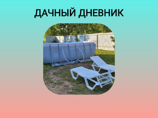Дачный дневник