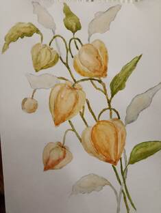 Акварель. Рисунки и марафонны