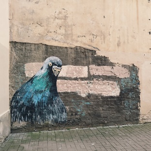 Граффити в СПб