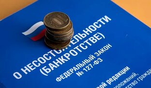 БАНКРОТСТВО ФИЗИЧЕСКИХ ЛИЦ