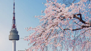 Романтические дорамы 🌸