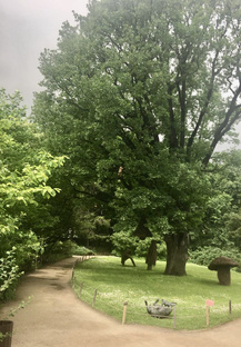 Сельхоз блог