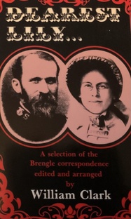 Моя дорогая Лили