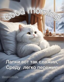 Живые открытки