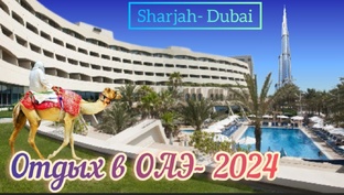 ОАЭ - 2024 
