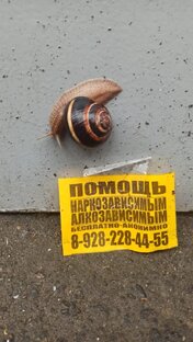 Беги, Лола, беги 🐌🐌🐌
