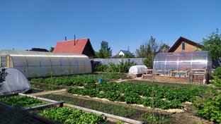 День за днём - 2022 