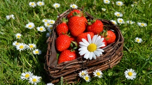 Время года. Лето.