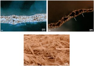 Наука и исследования 