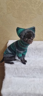 Вязание собакам