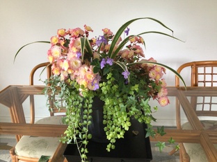 Контейнерные композиции