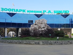 Мир Новосибирского зоопарка