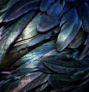 Карлос Кастанеда