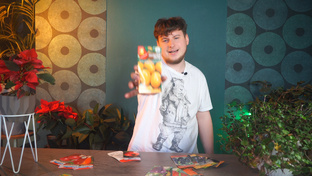 Лучшие сорта