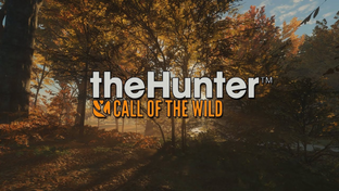 the Hunter - Call the Wild