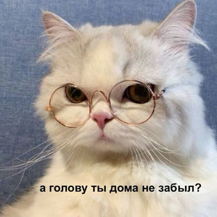 Образование 