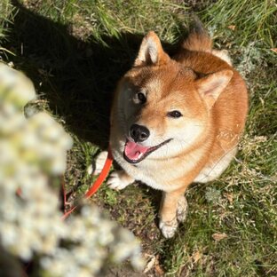 Бонусный контент для своих