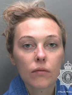 Раскрытые дела